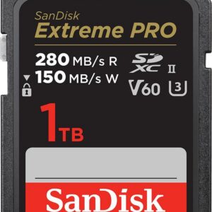 SanDisk Extreme Pro - Flash-Speicherkarte - 1TB - Video Class V60 / UHS-II U3 / Class10 - SDXC UHS-II (SDSDXEP-1T00-GN4IN)