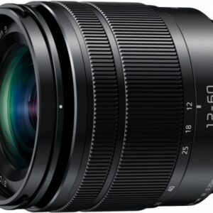 Panasonic Lumix G Vario 3,5-5,6/12-60 Power OIS Asph. (H-FS12060E)